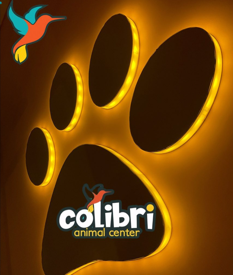 Equipe Veterinária