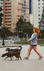 Dog Walker